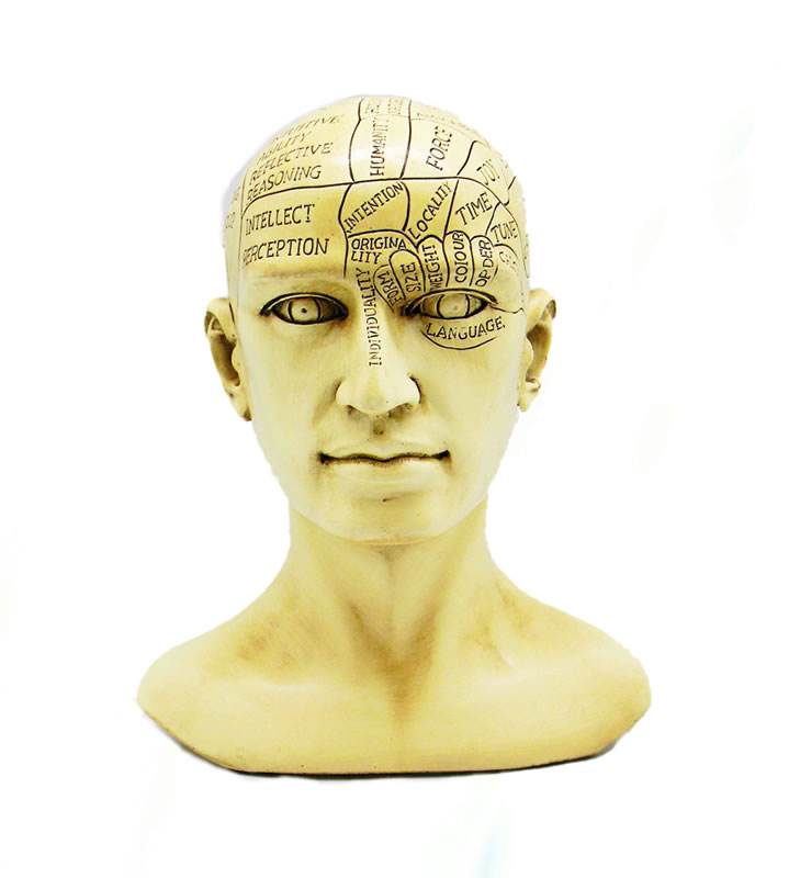 Phrenology Head