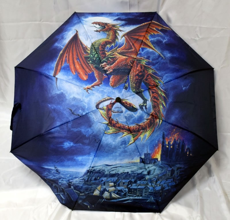 DRAGON Umbrella